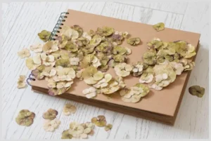 Cuaderno de tapa kraft y espiral cubierto de flores secas sobre una mesa blanca, sugerente para usar notion planificar novela.